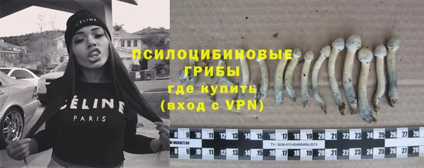 mix Богородск