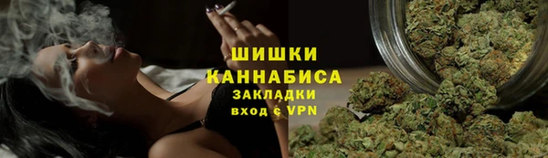 бошки Богданович
