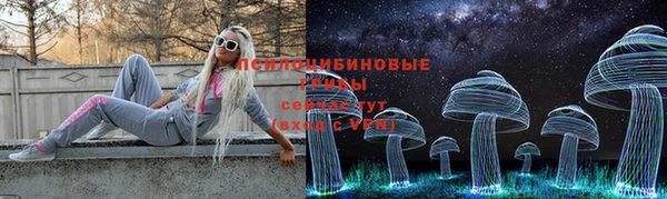 бошки Богданович