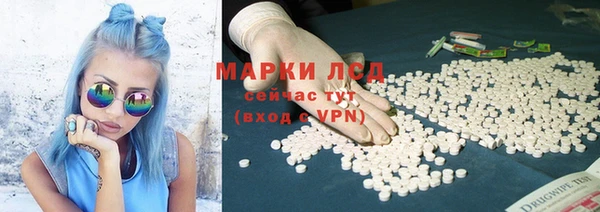 гидропоника Белокуриха