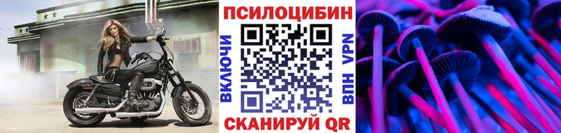Псилоцибиновые грибы мухоморы Гусев