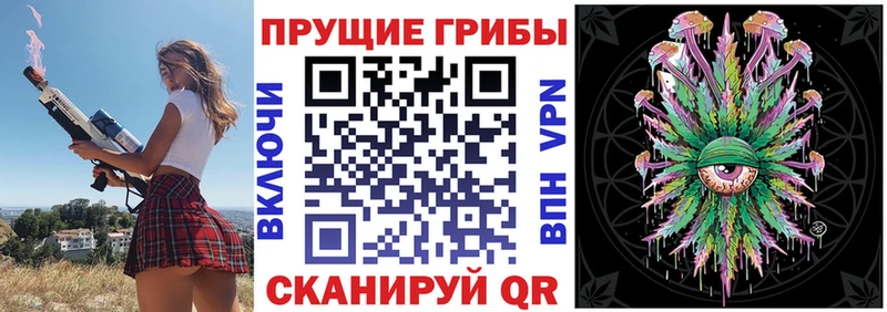 закладки  Гусев  мега онион  Псилоцибиновые грибы MAGIC MUSHROOMS 
